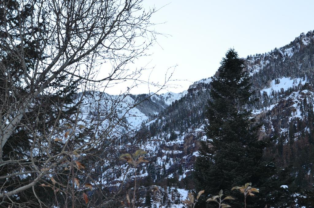 The Ouray Main Street Inn Room photo